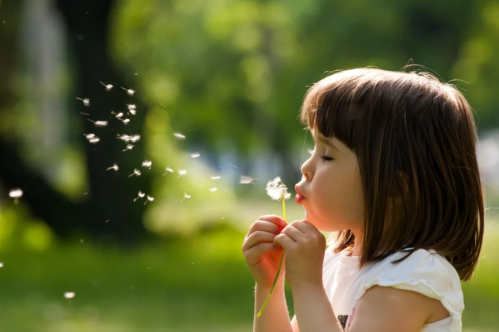 Child blowing flowering seeds